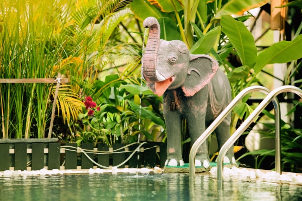 Asanak D'Angkor Boutique Hotel (Siem Reap)